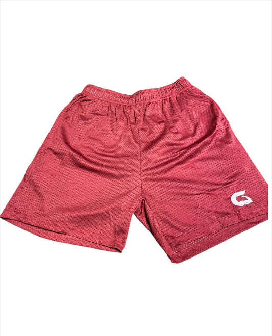 workout gym shorts for men (red)